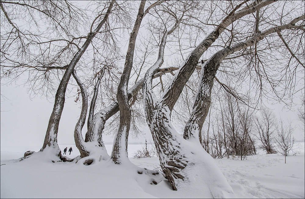 Много снега бывает