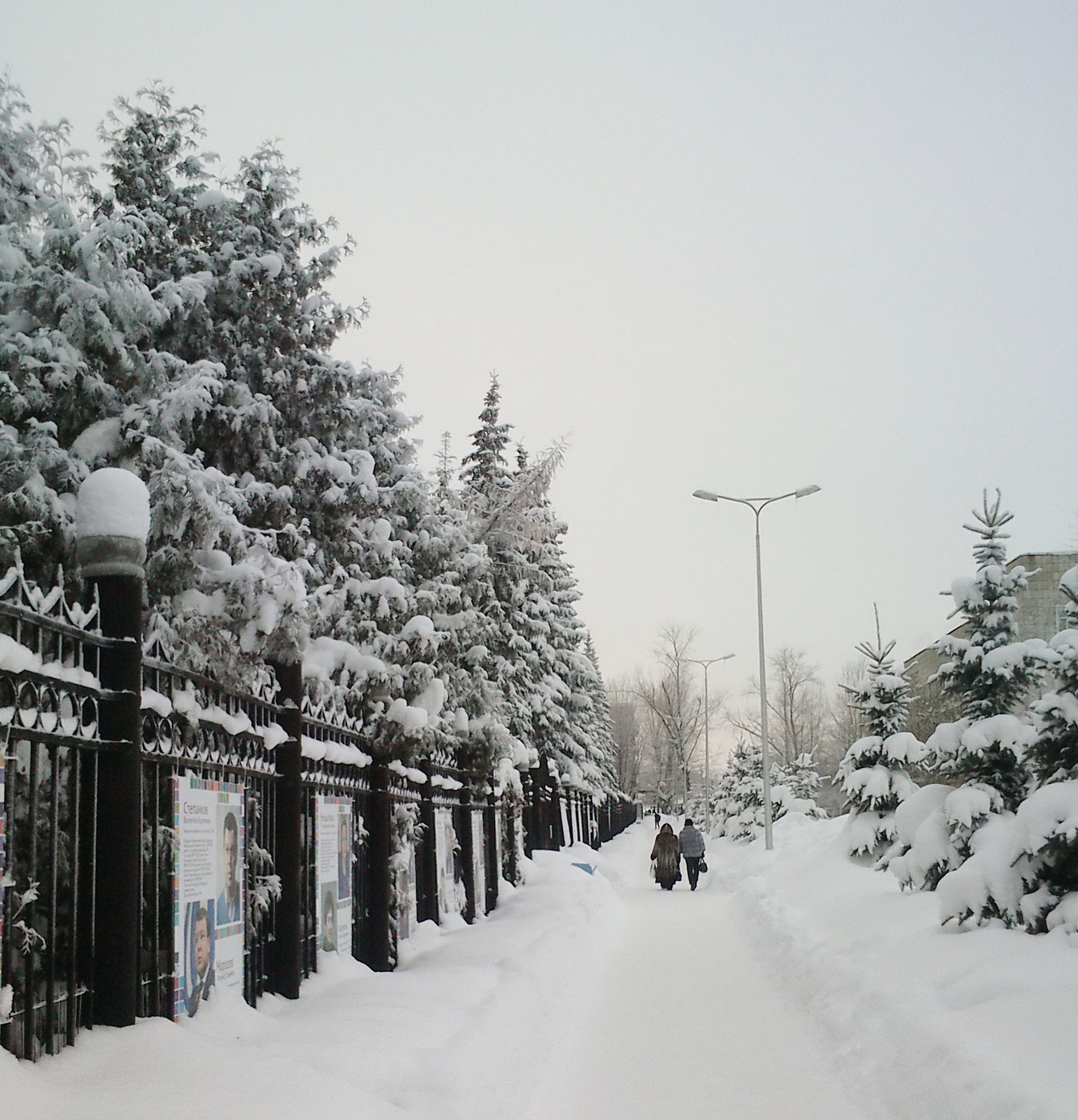 Много снега бывает