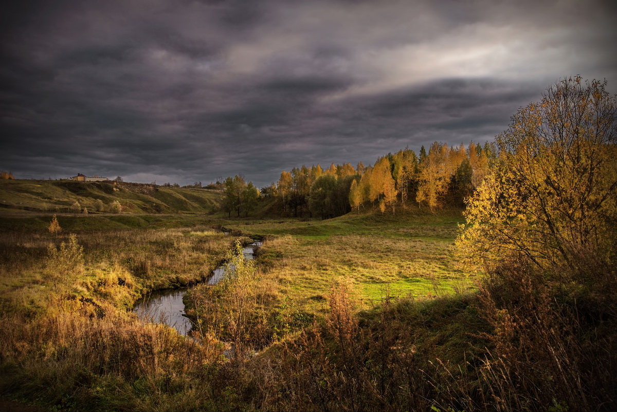 Солнечный луг