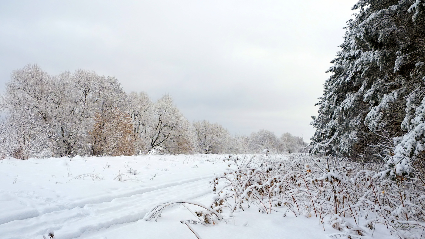 Хмурое утро.