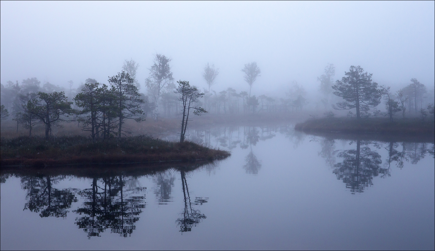 Сонное царство