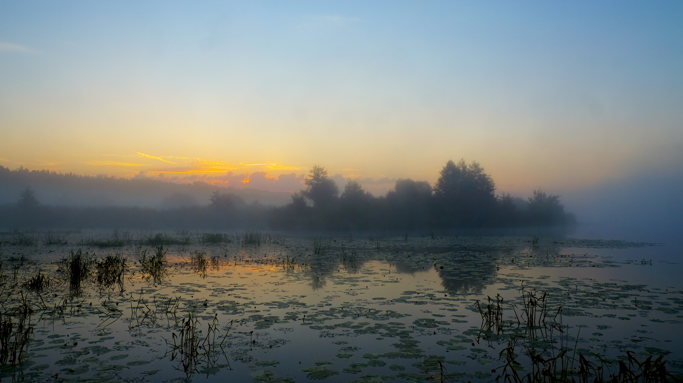 Тишина перед рассветом.