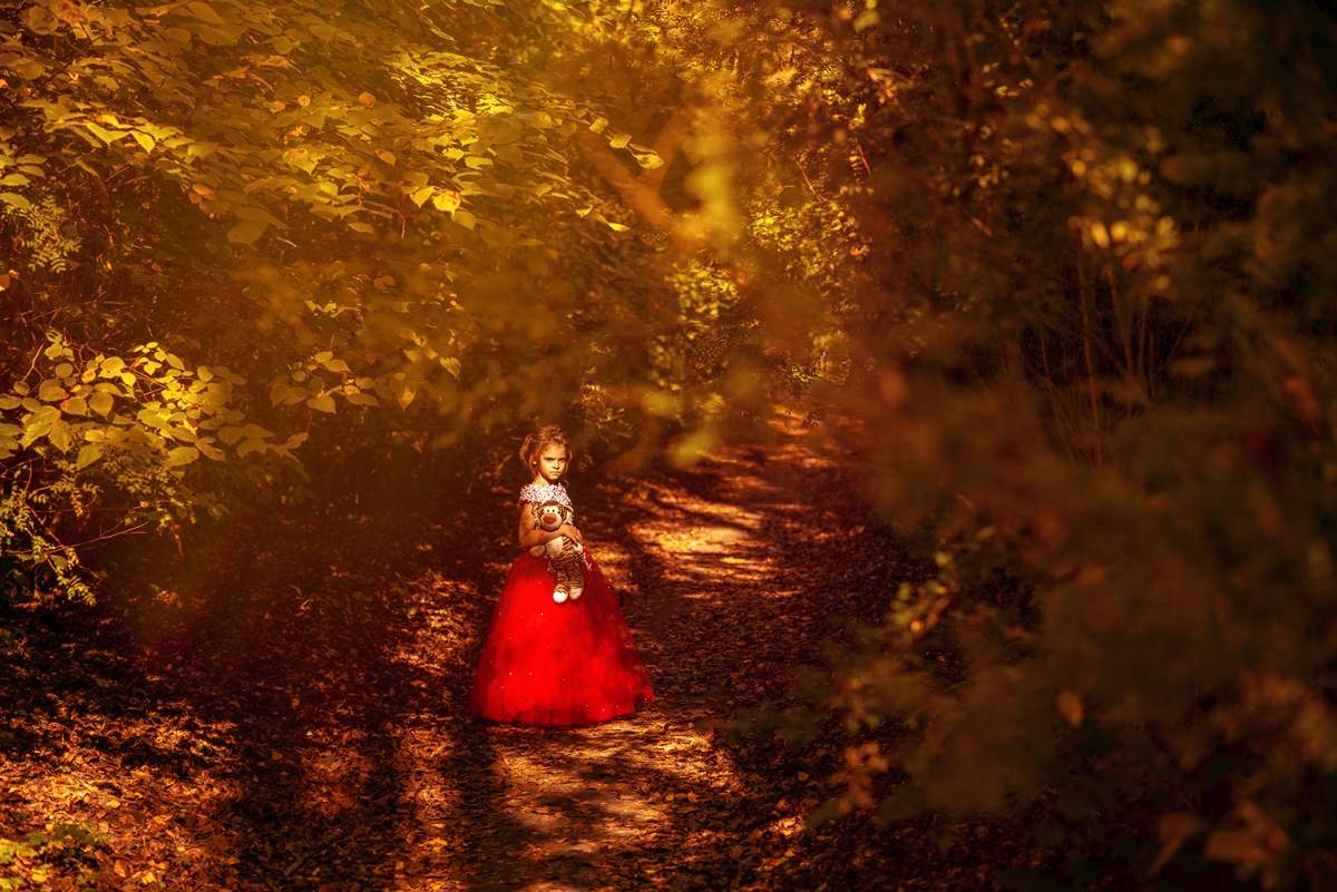 Осенние тени