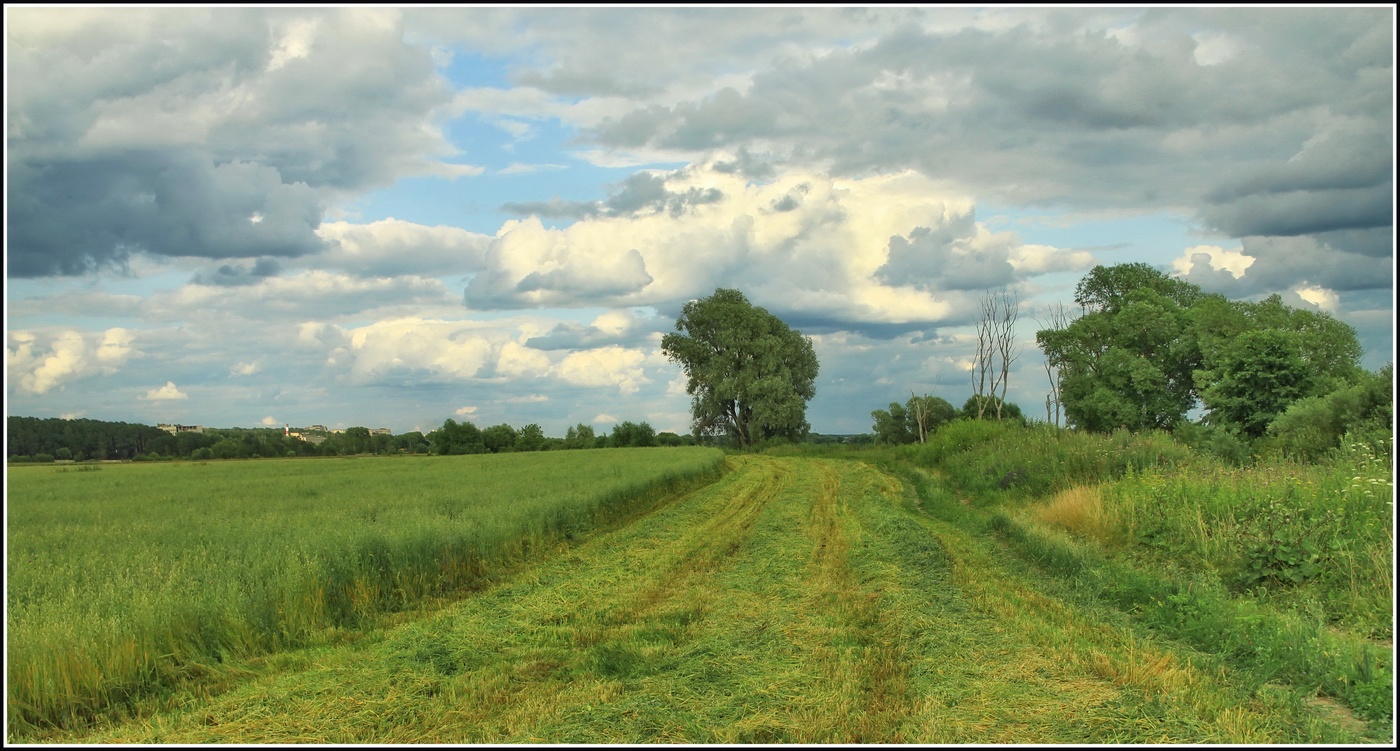 Пригородный пейзаж