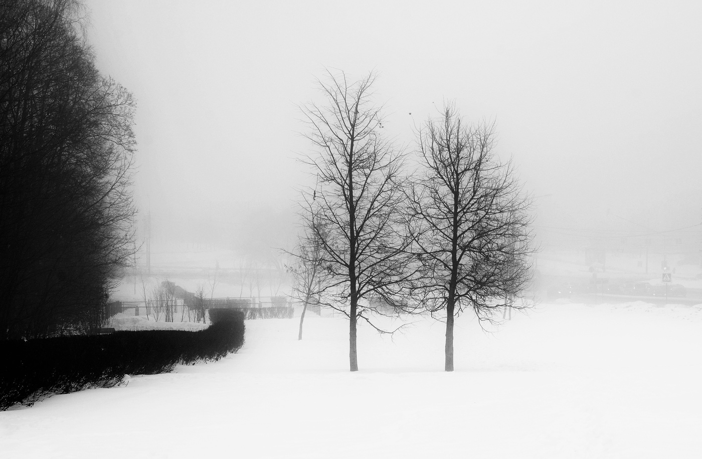 Утренние туманы февраля ...