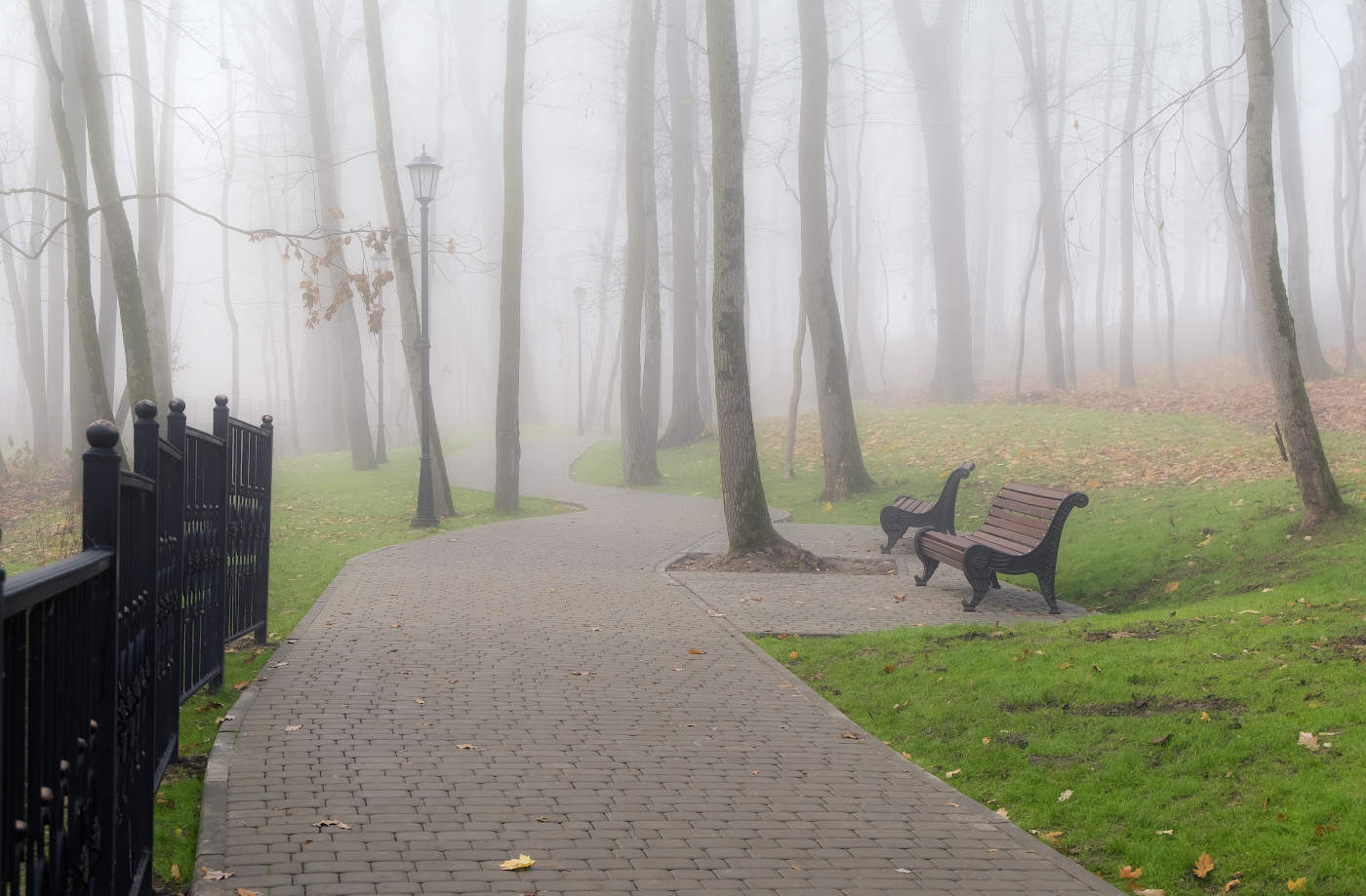 Утренний парк