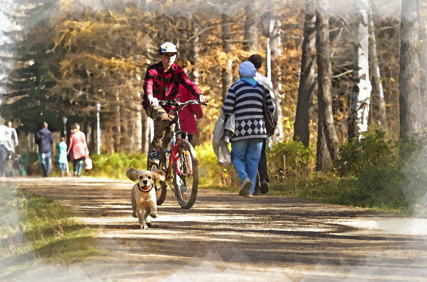 на всех парусах
