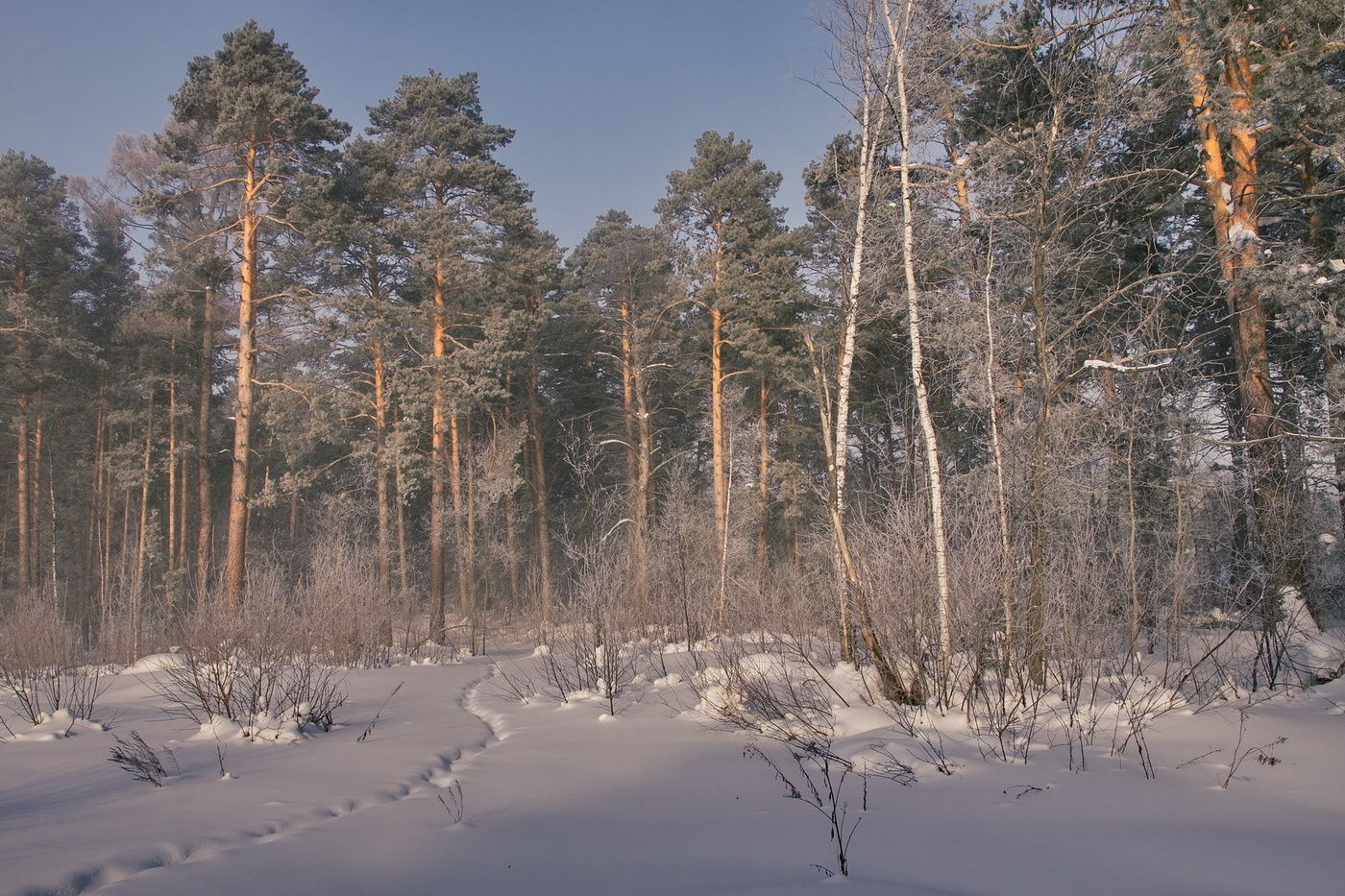 Морозный день.