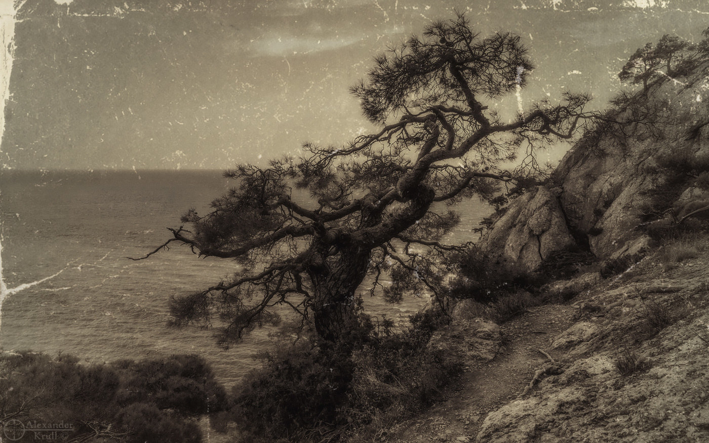 Когда-то в Крыму...