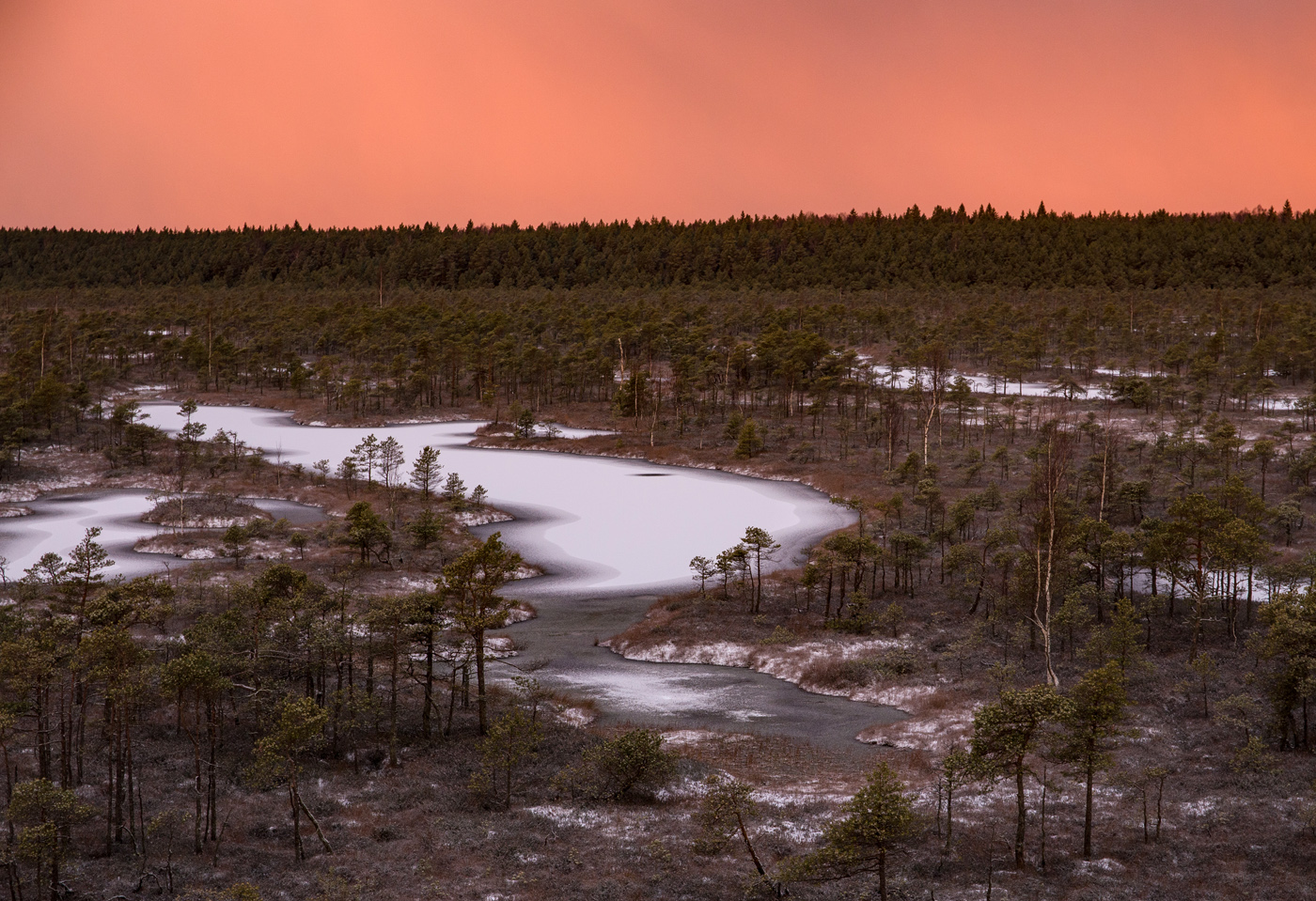 Гламурный рассвет