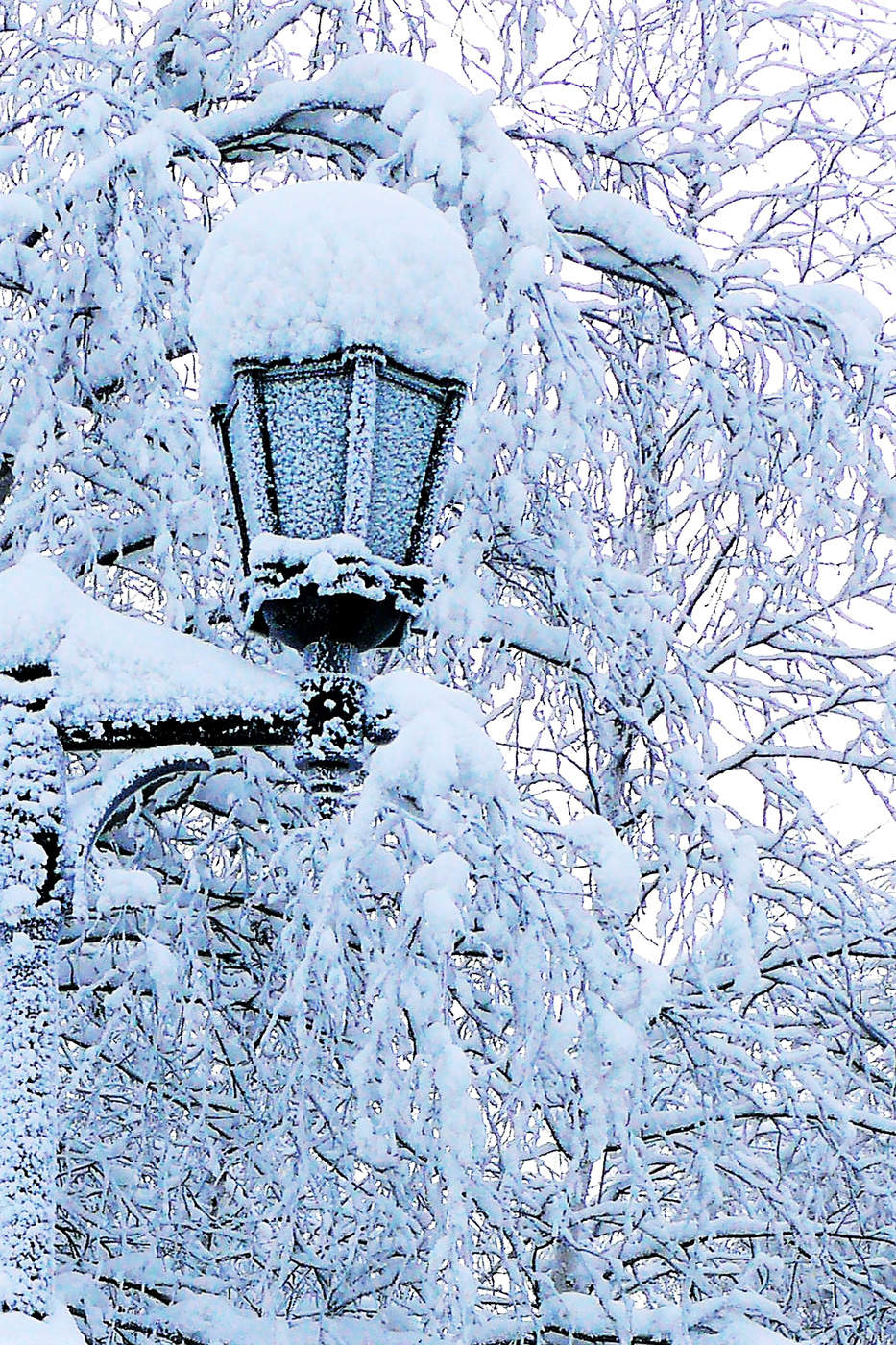 Замерзающий фонарь