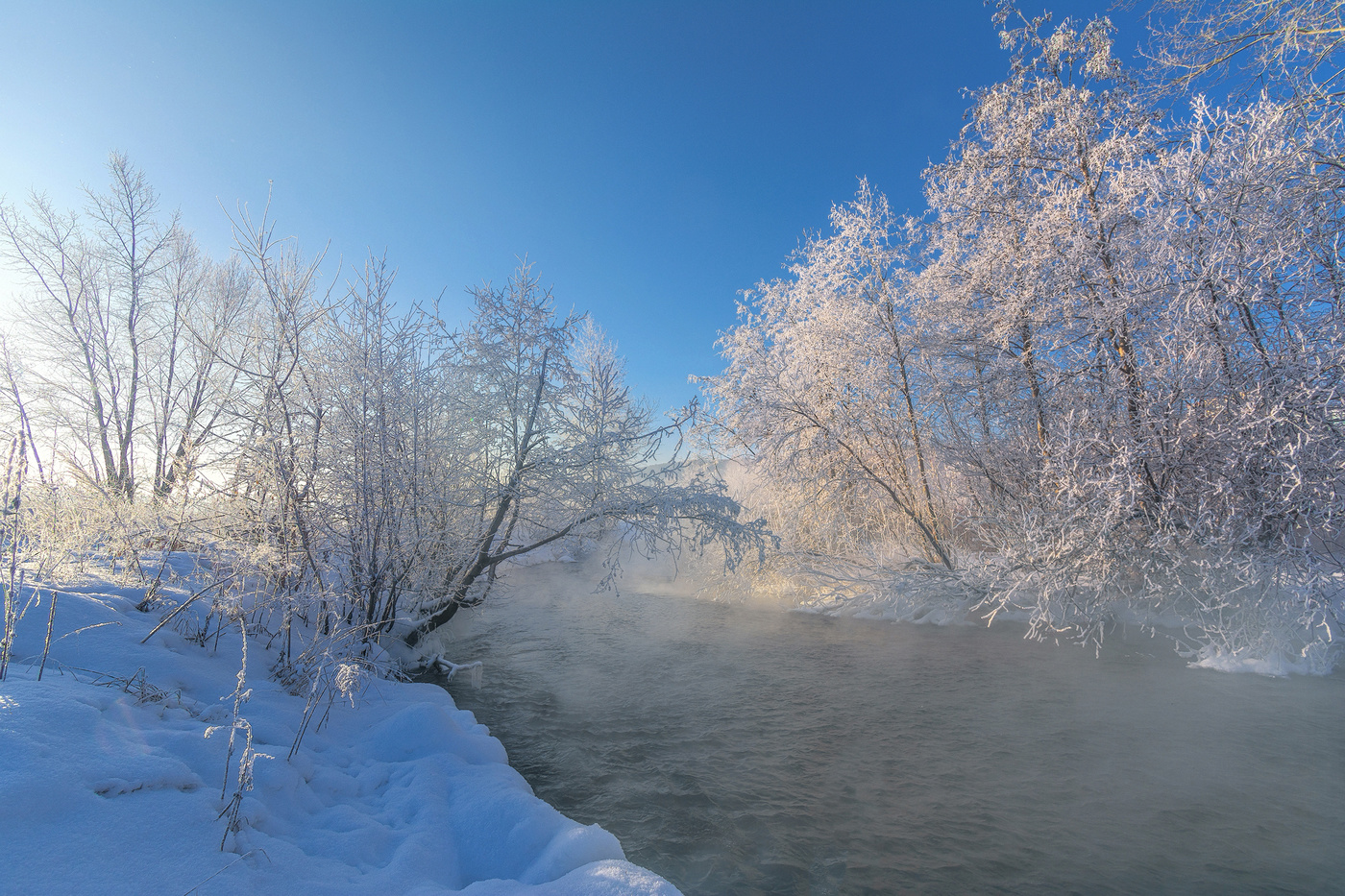 В утренних лучах