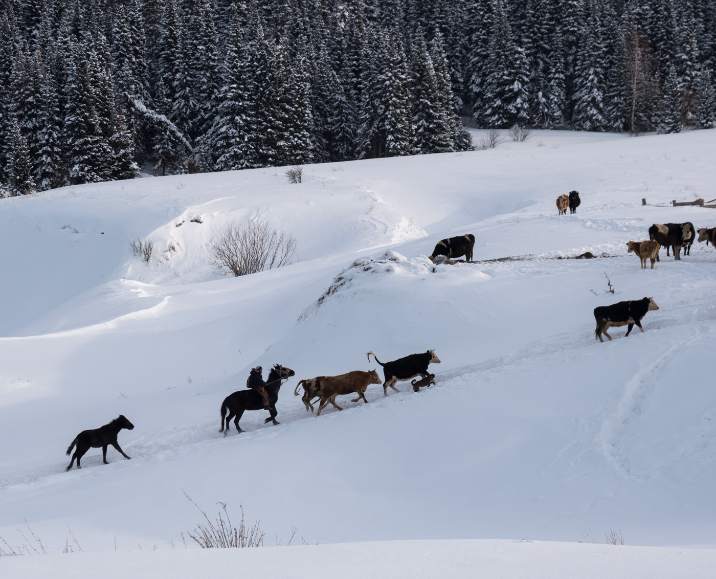 Сельские будни