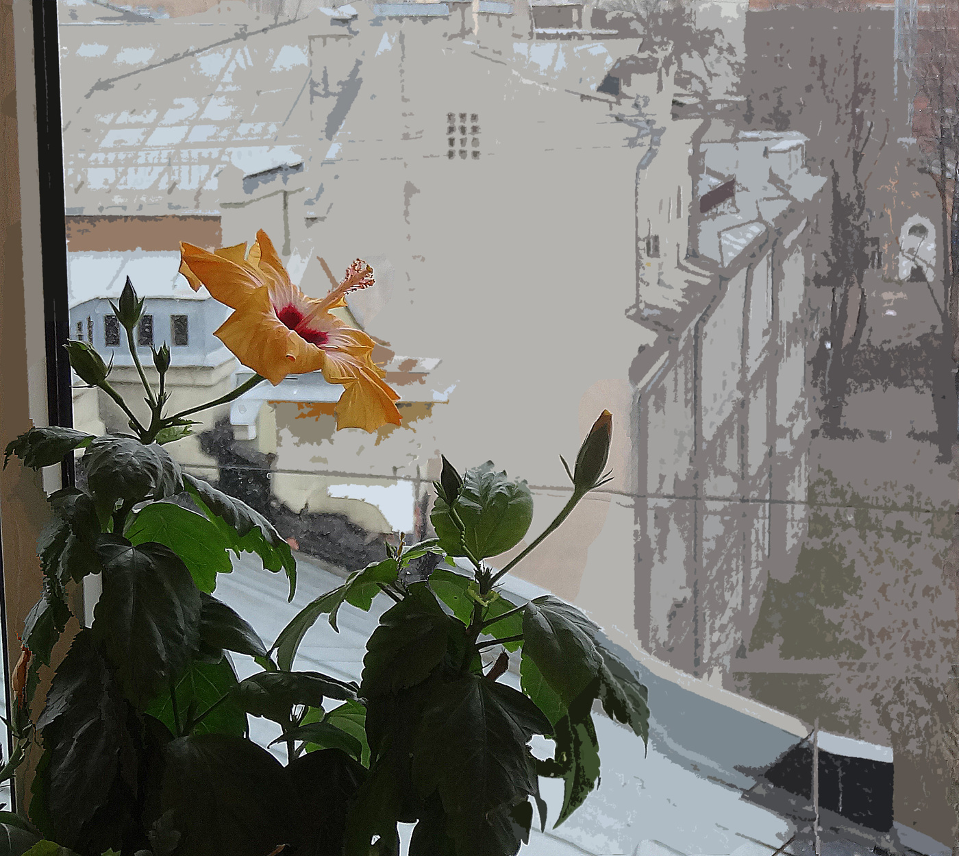 На фоне серых будней