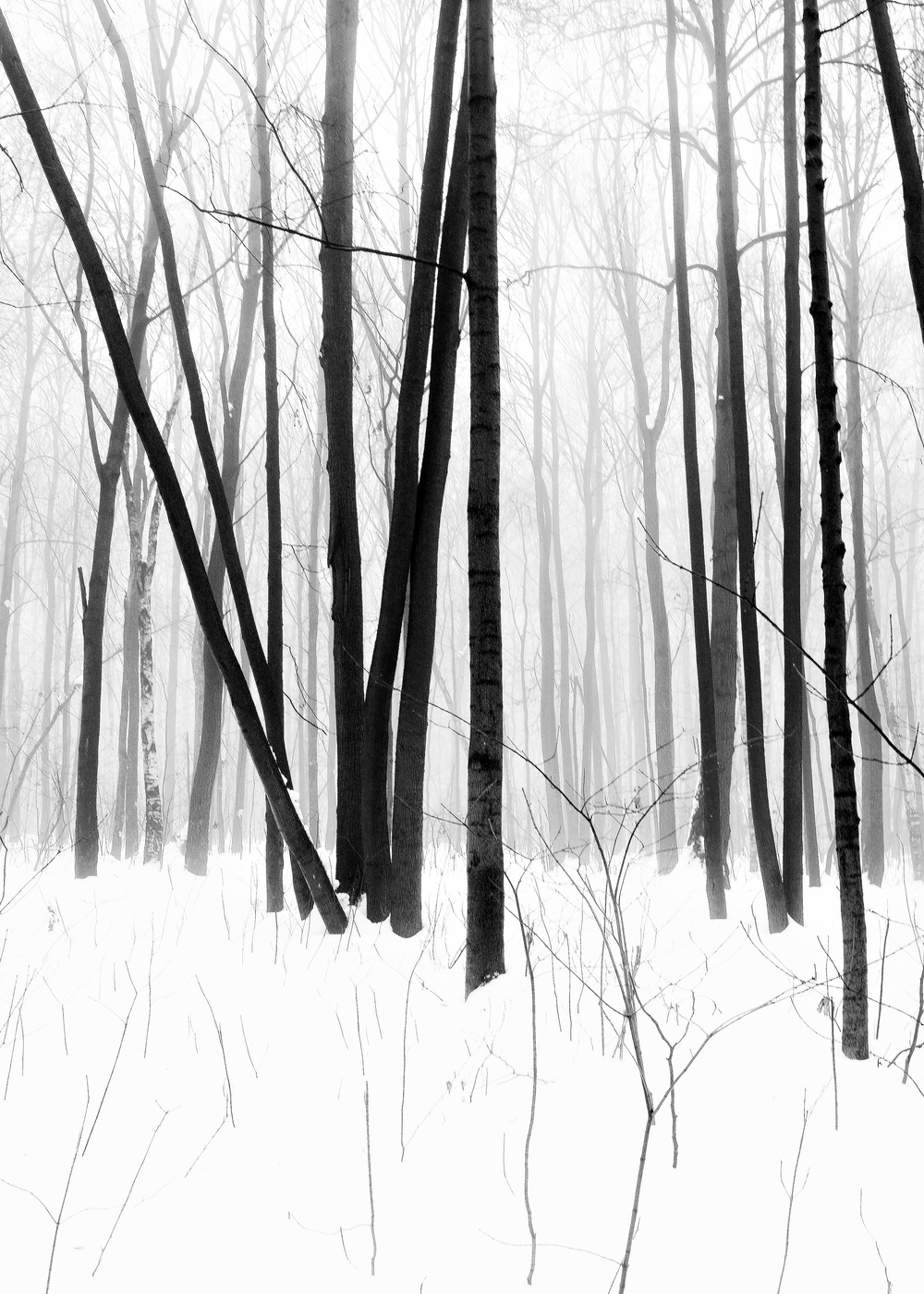 "Зимой в тумане все загадочно-уныло..."