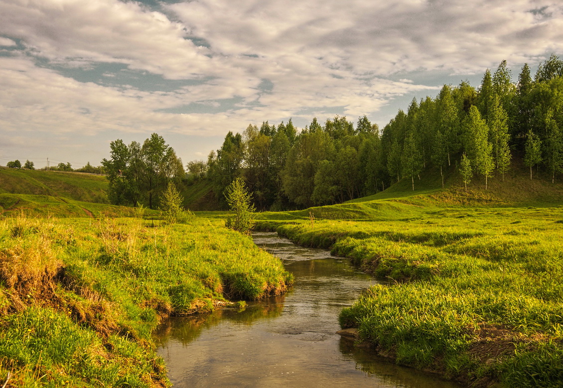 Кусочек лета