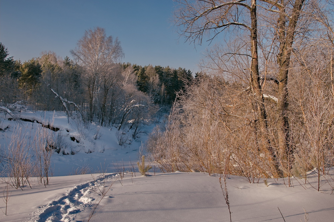 Солнечный день.