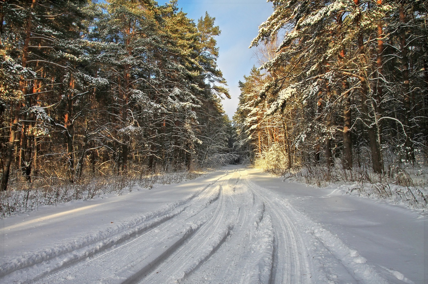 дорогой по зиме