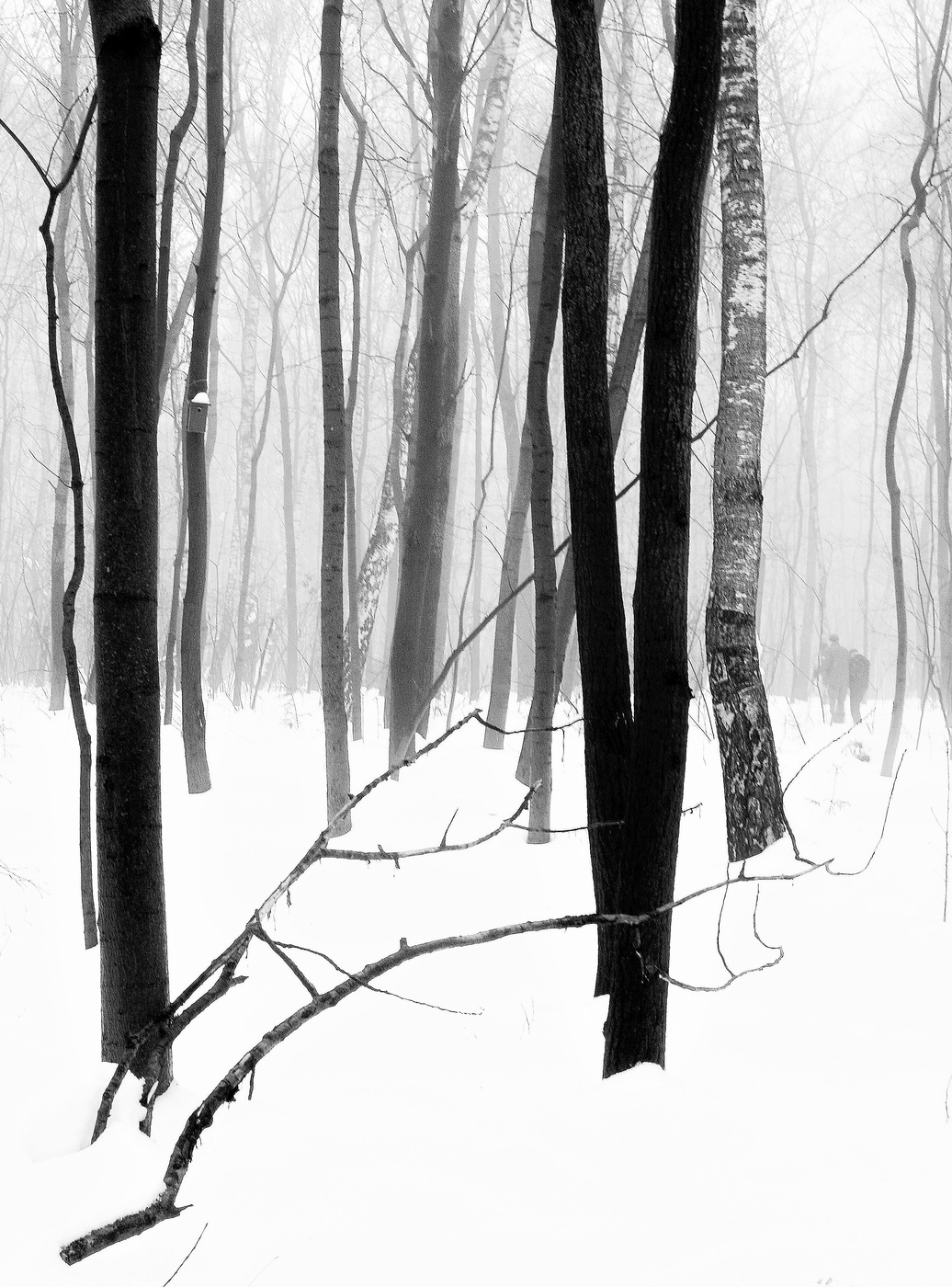 "Белым по черному, черным по белому..."