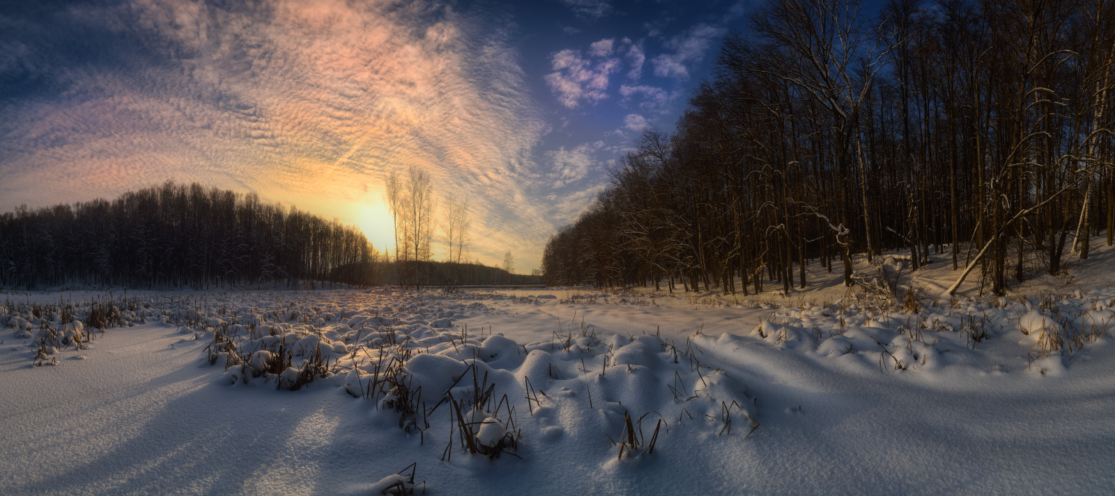 Пришла январская заря