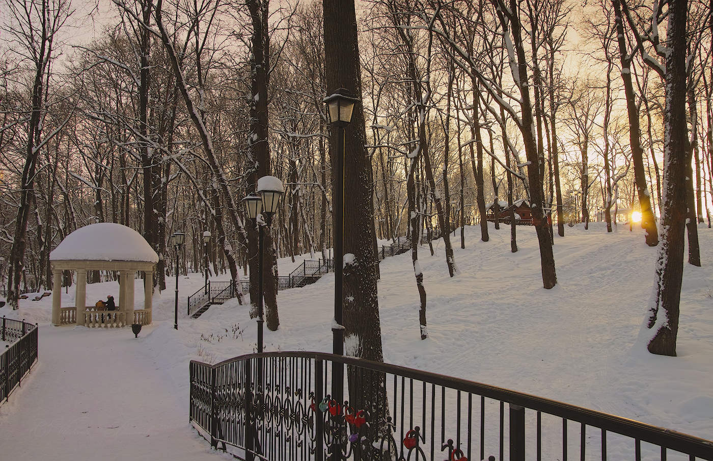 Под снежным взглядом