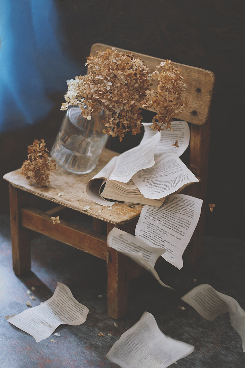 Ветер постучал ко мне в окно...