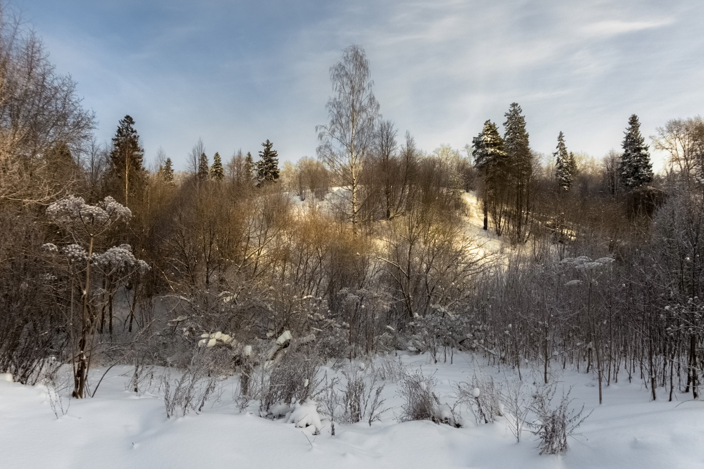 Декабрьский полдень