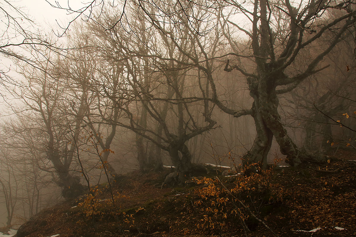Туманности Демерджи