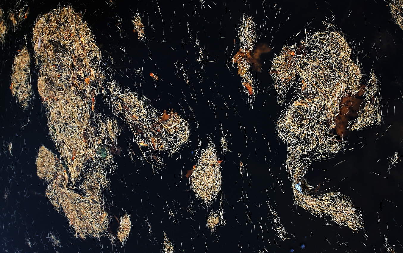 Хорошо, там где нас нет