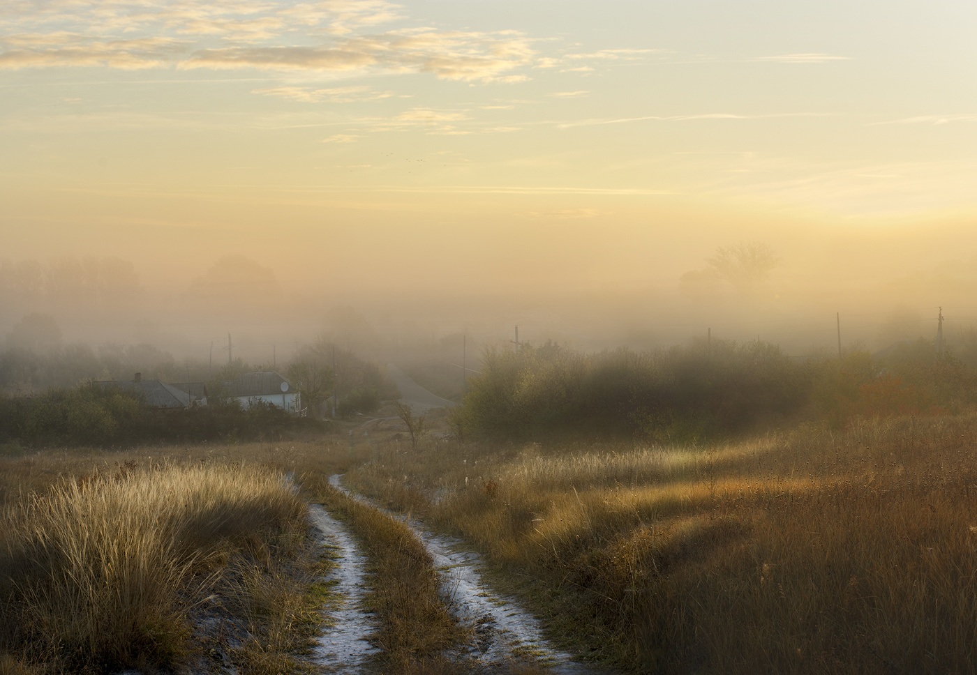 Дорога в туман