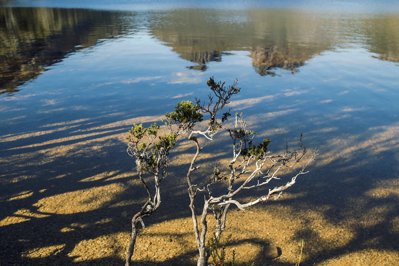 Хорошо, там где нас нет