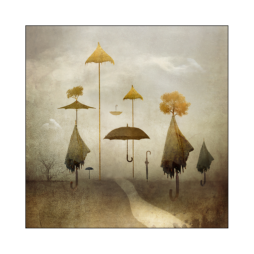 дорога в зонтичных зарослях