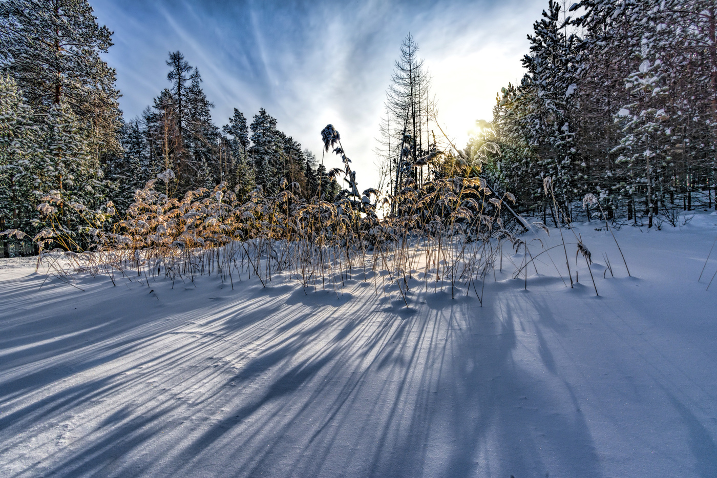 Зимний полдень