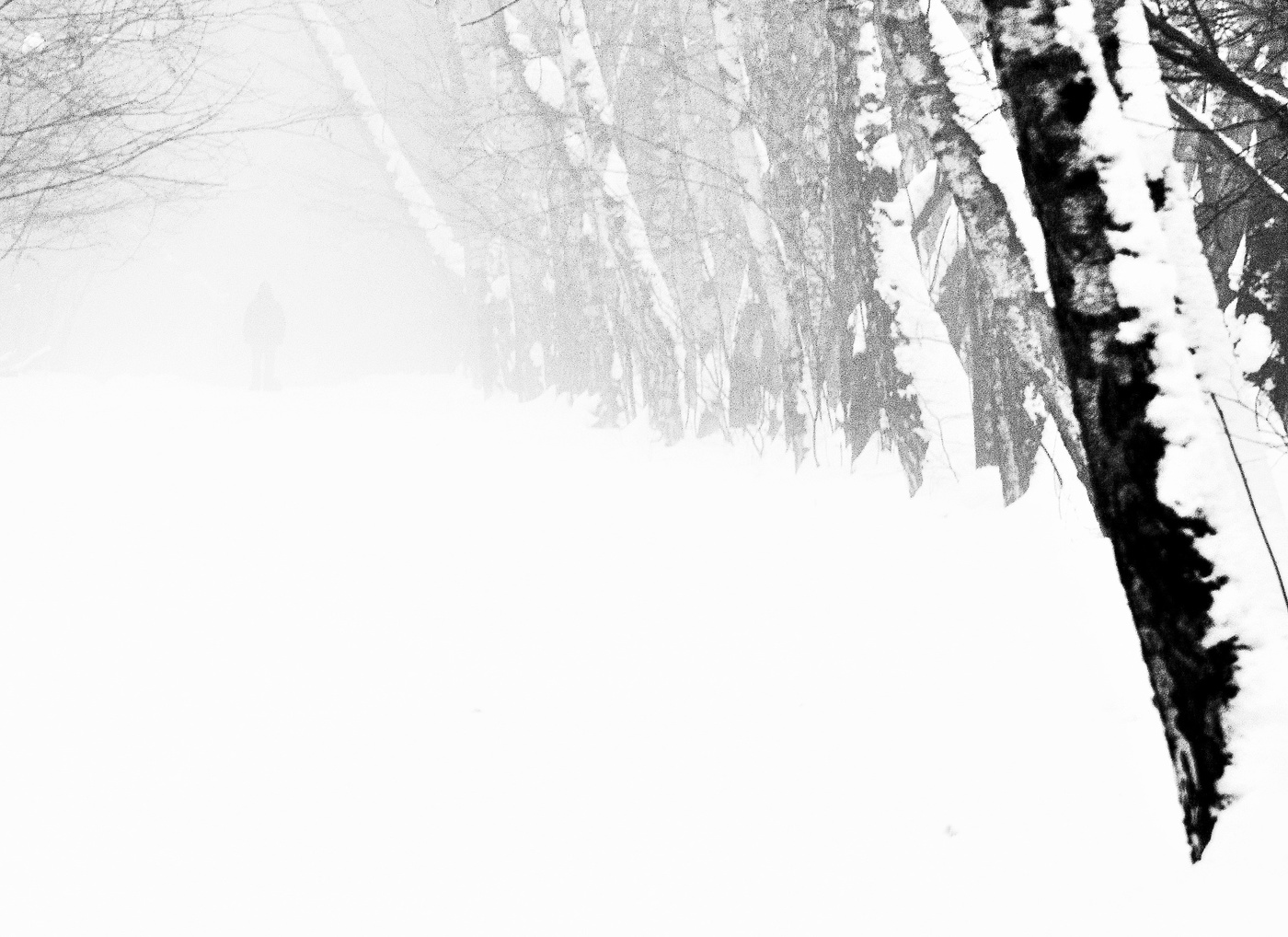 "О, эти февральские вьюги ..."