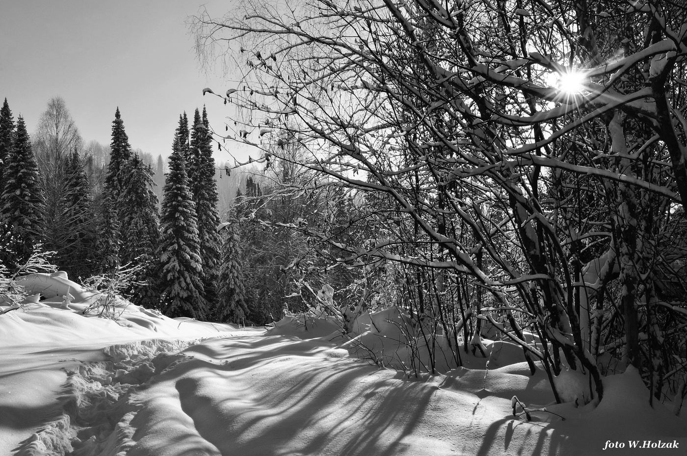 Зимние пейзажи