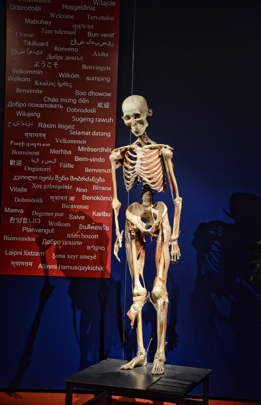 Добро пожаловать.