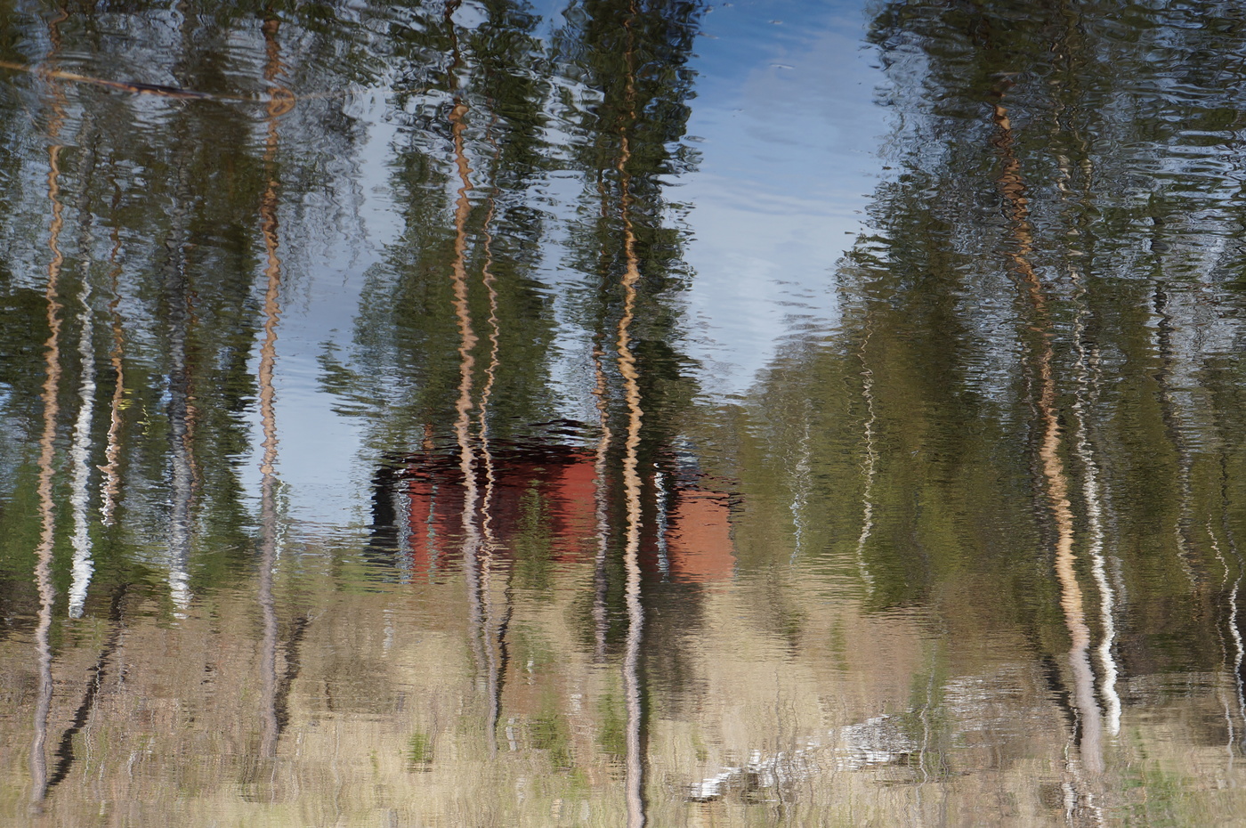 Отражение лета