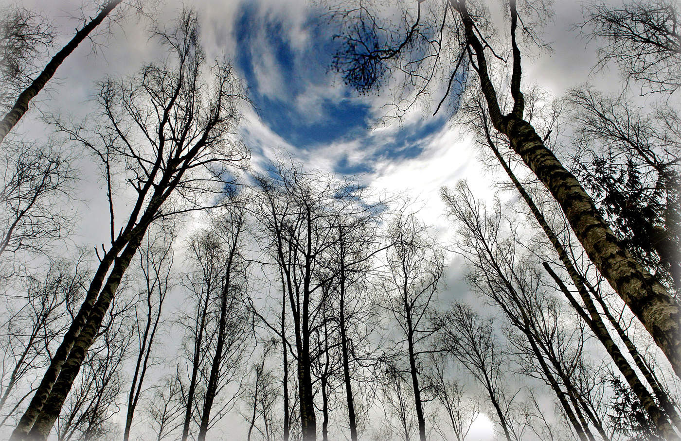 "Космическое завихрение."