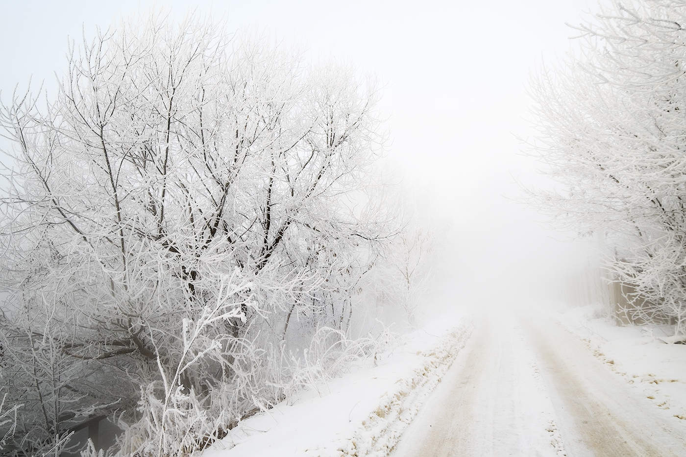 В зимний туман