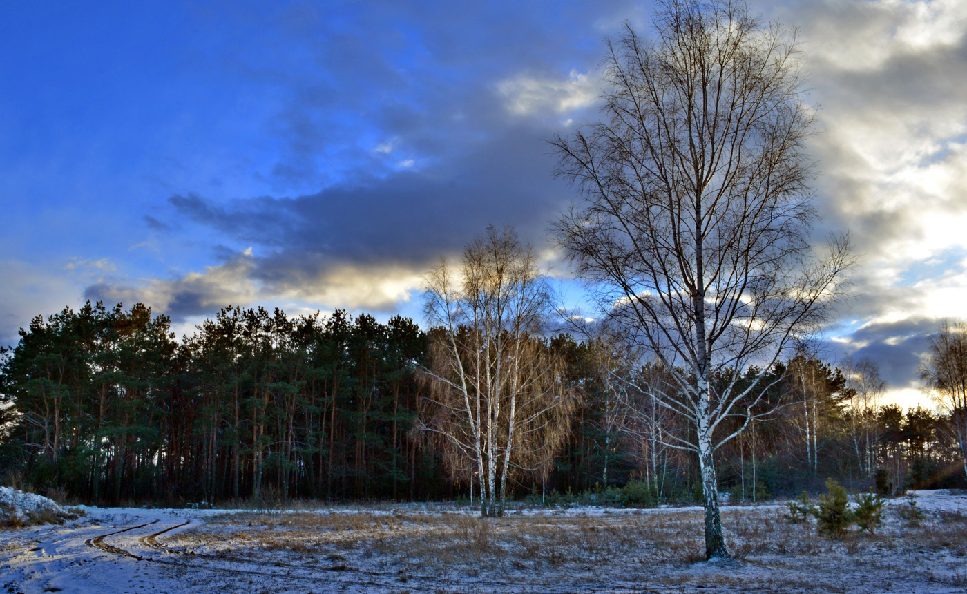 Февральский вечер