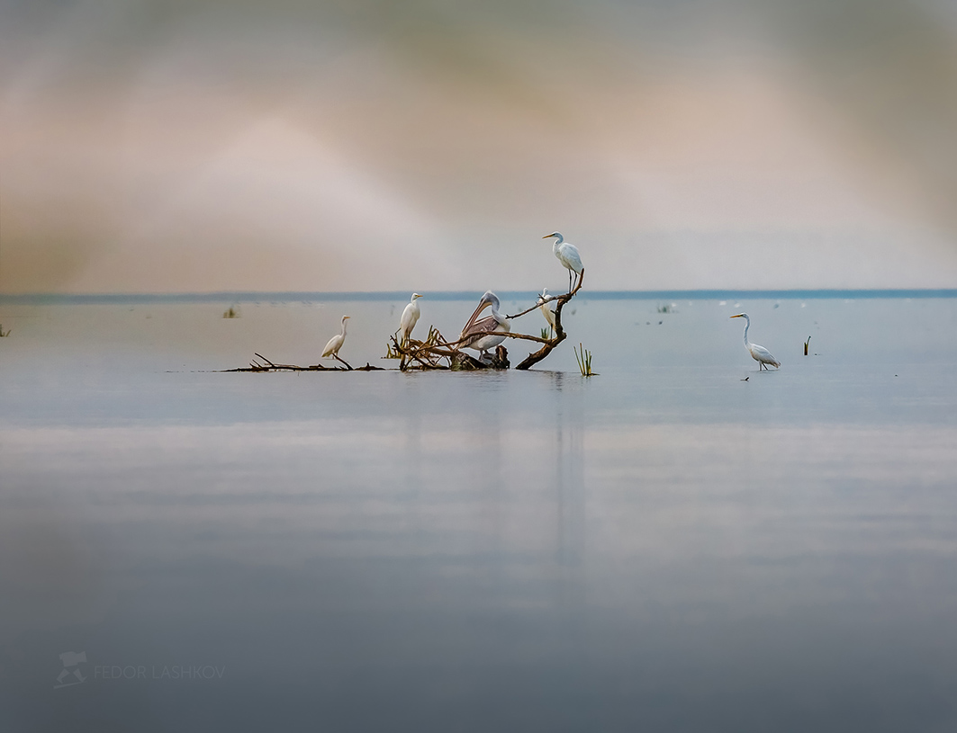 Акварельное утро