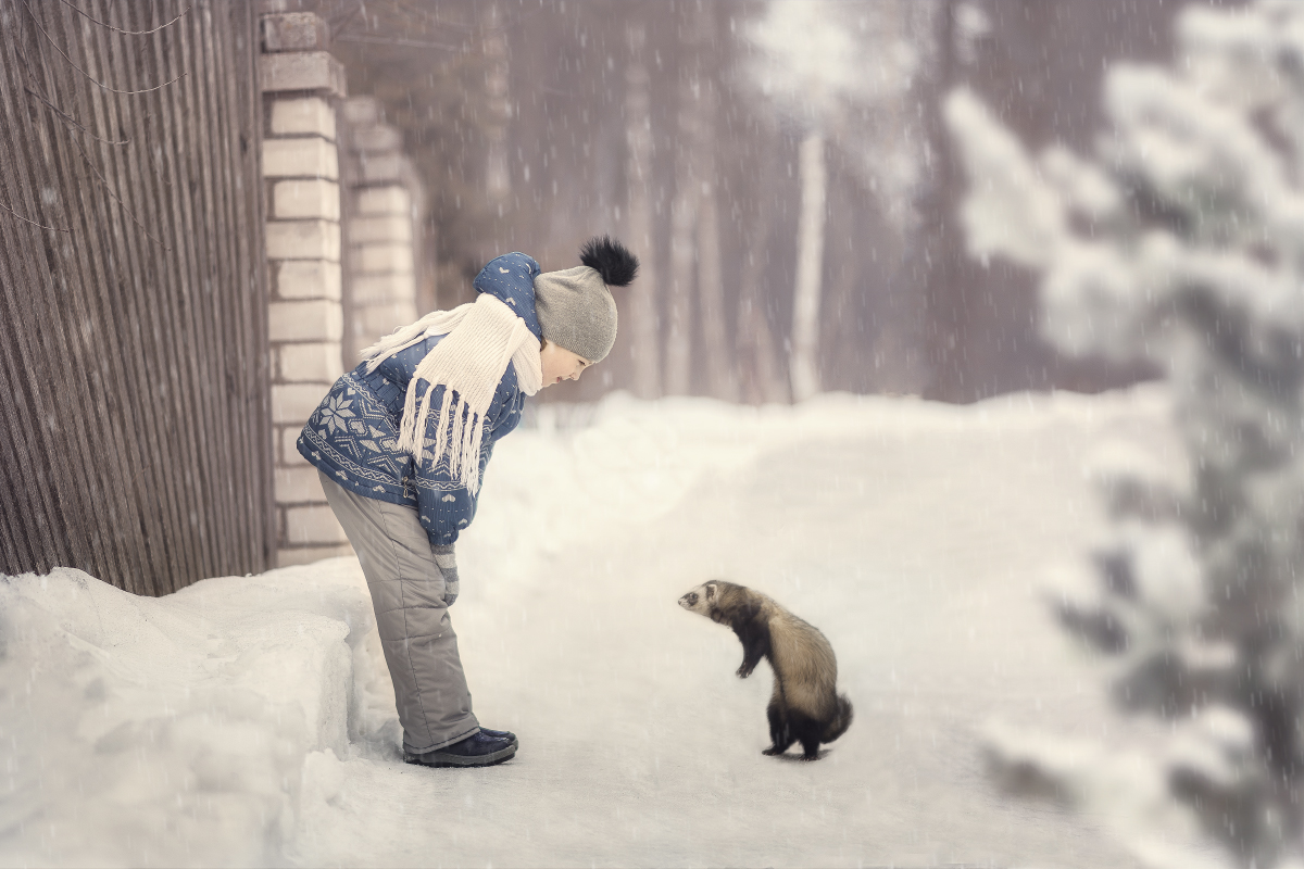 Красавицы на прогулке