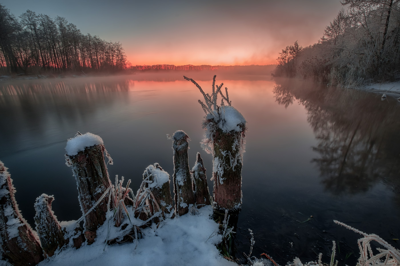 Волосы дыбом )