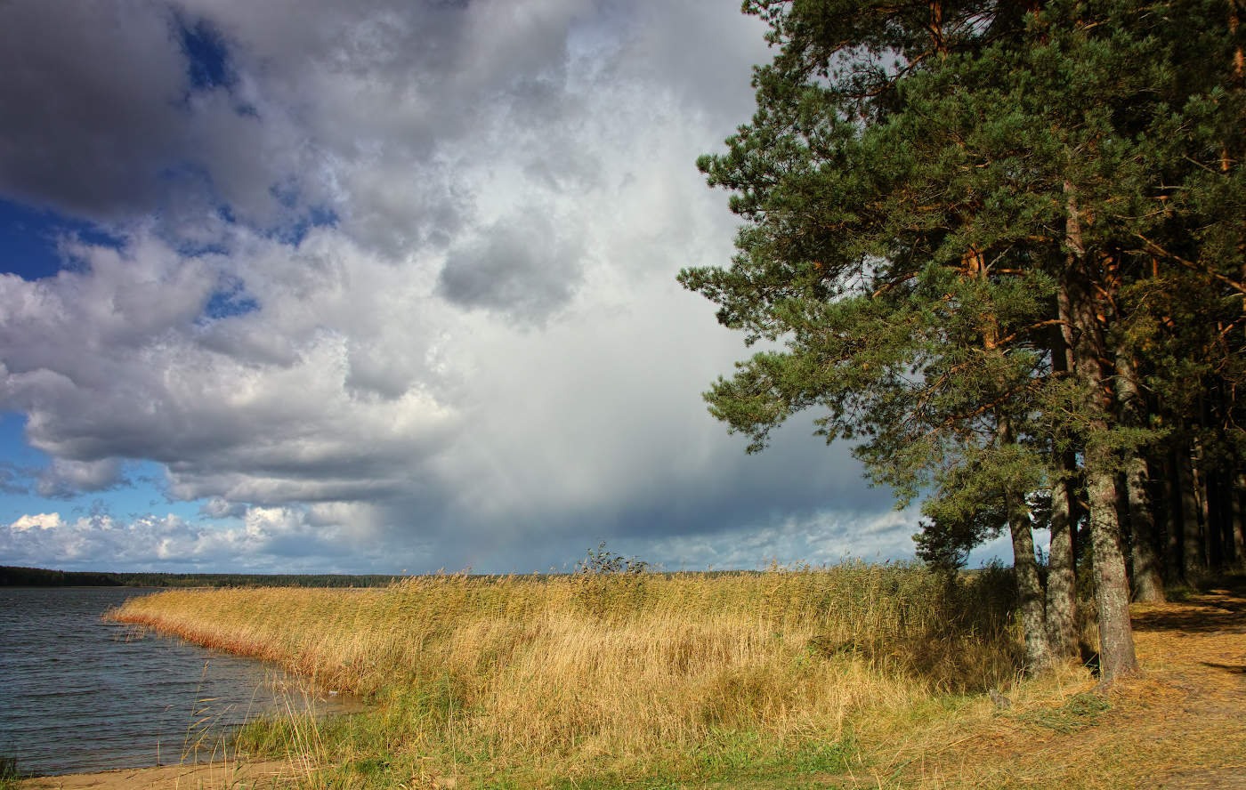Гляжу в озера синие...