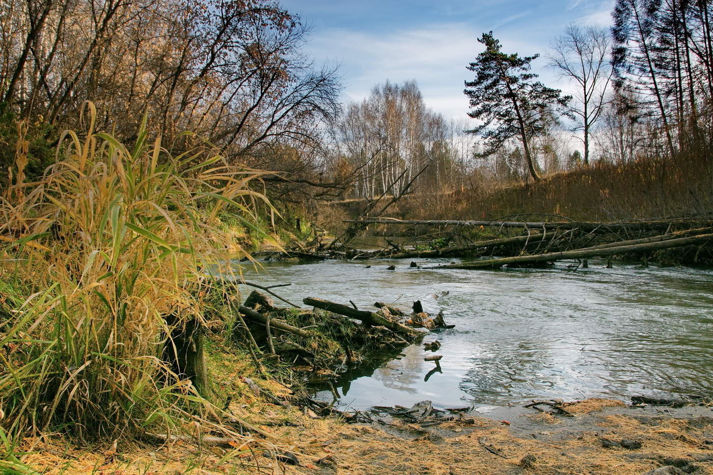 Таёжная речка.