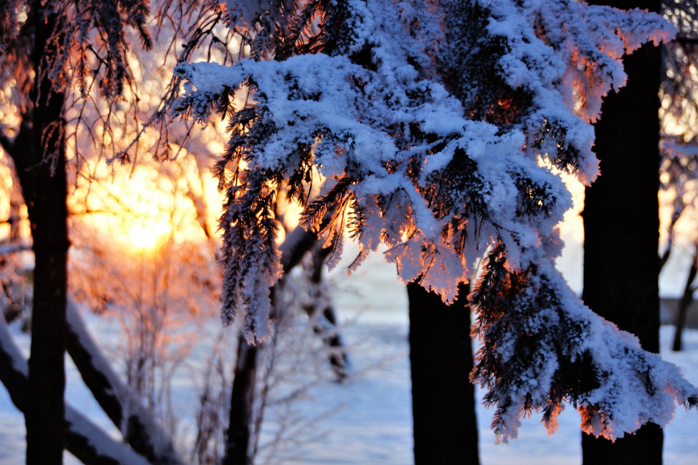 Морозный вечер