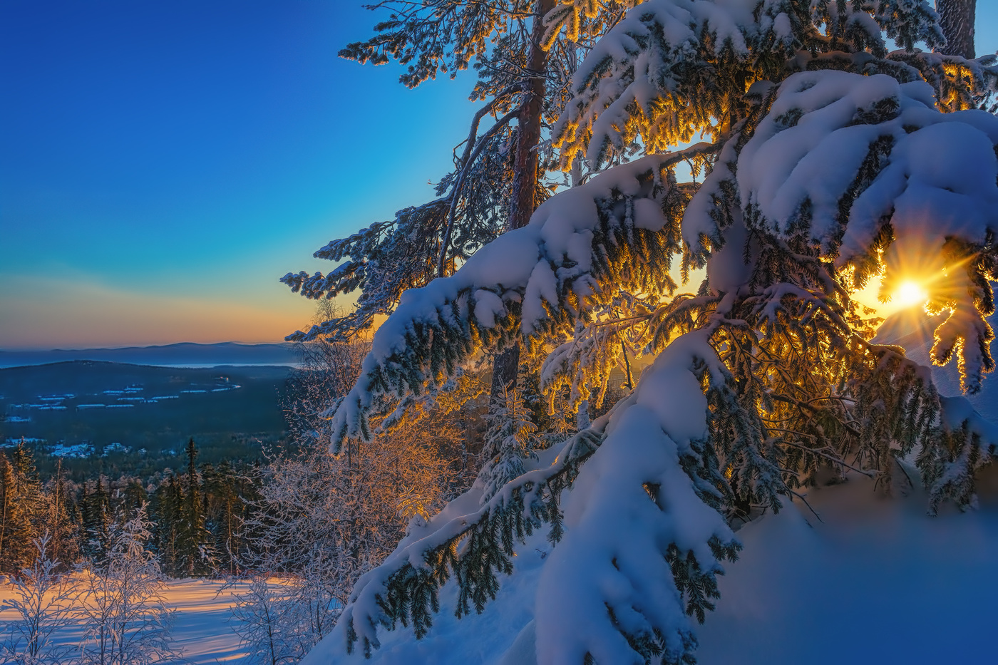 Утренний свет