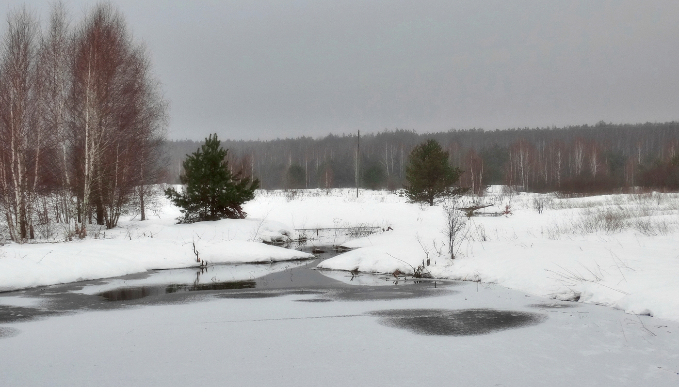 Февральская зарисовка