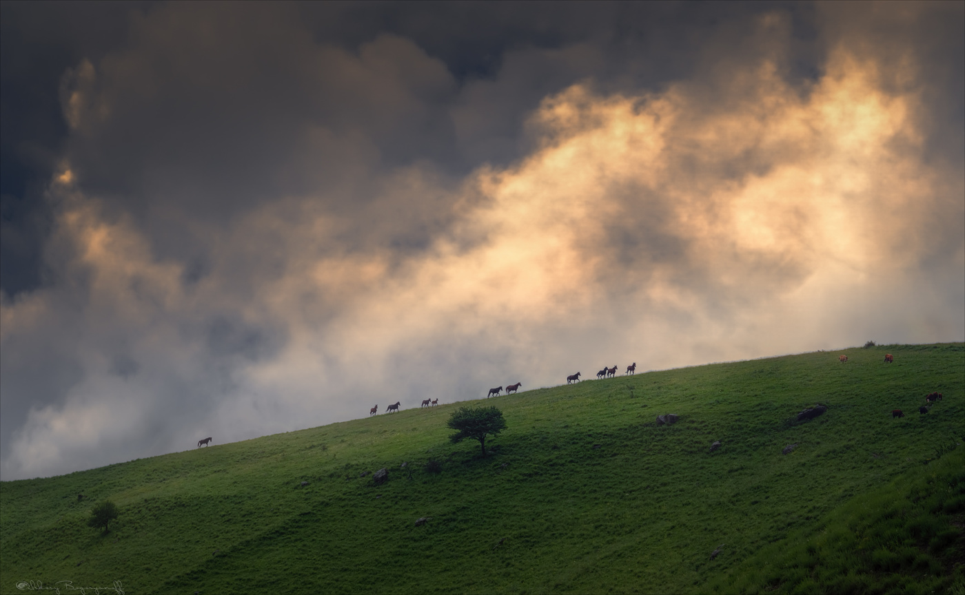 Бегущие по краю неба.