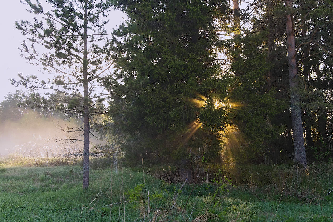 "Звезда по имени Солнце"